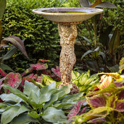 shady_patio_garden_175.jpg